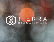 Screenshot 2025-11-18 at 16.19.25