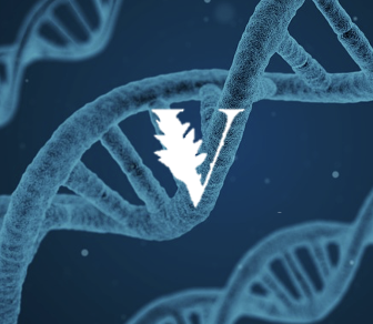 Screenshot 2025-11-18 at 20.51.03